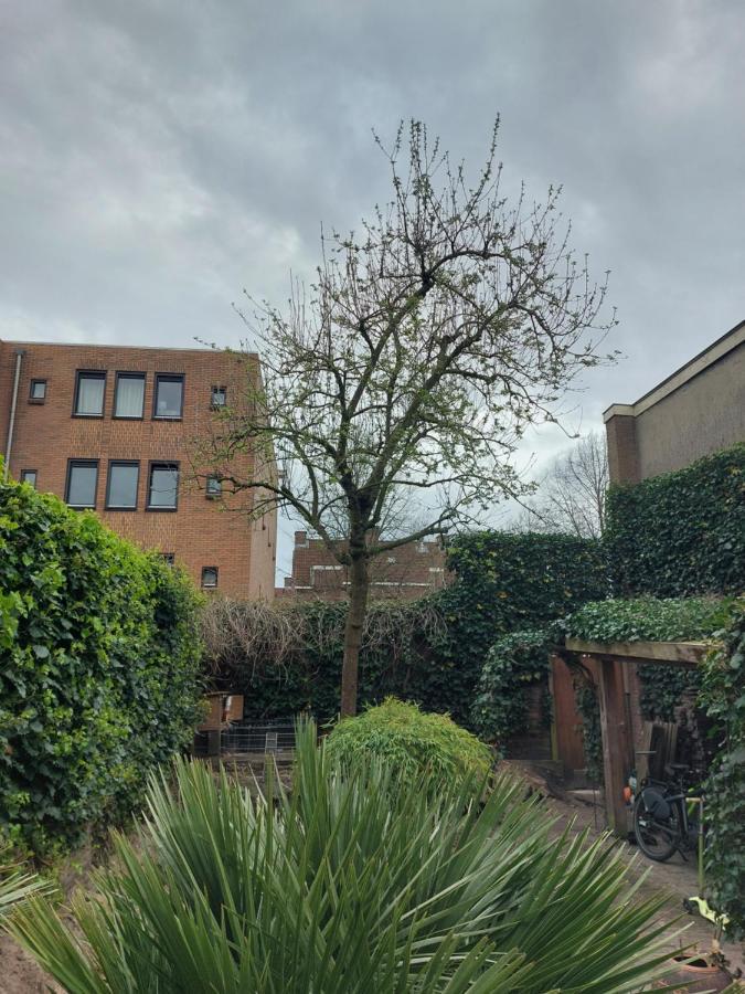 אמרספוט Saya Boutique Hotel מראה חיצוני תמונה